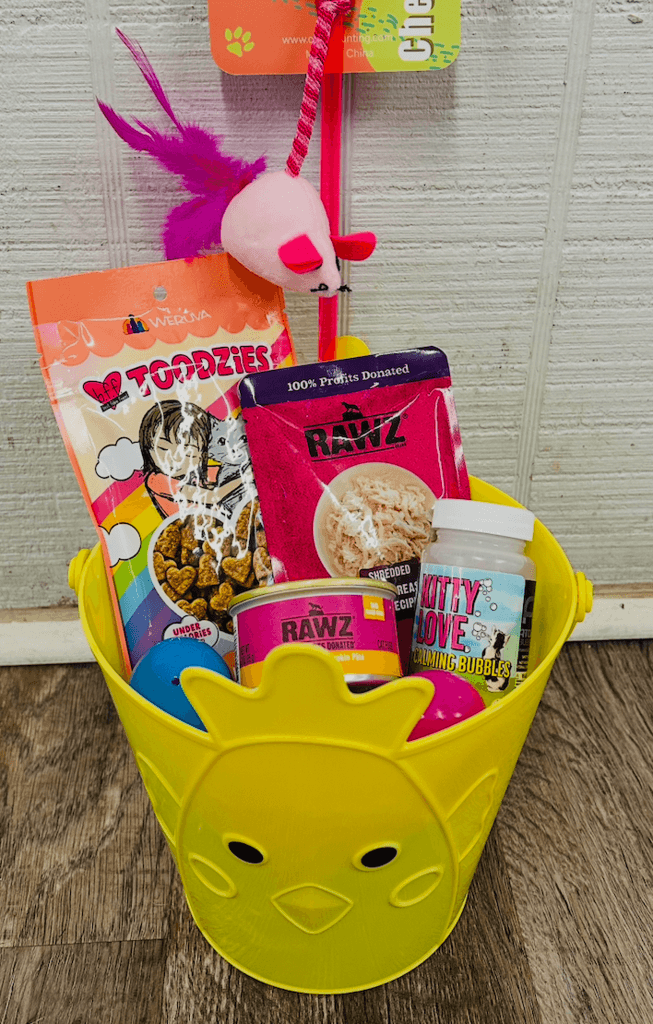 2026 Cat Easter Basket (Pre Order)